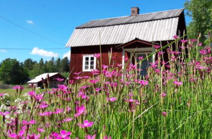 Rodný dům Aleksise Kiviho v Nurmijärvi