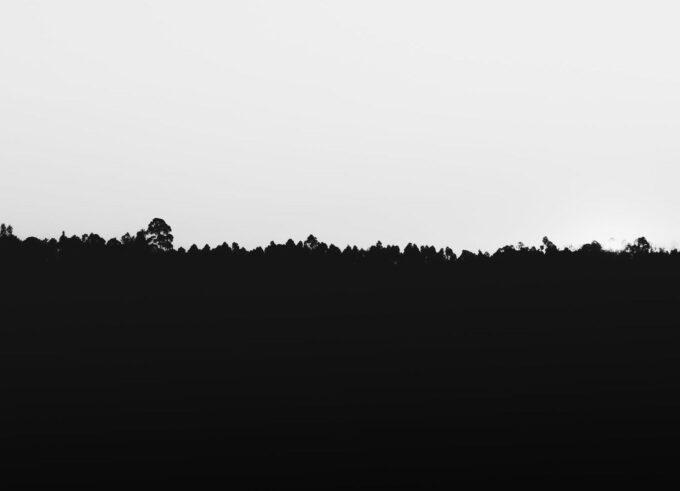 foto: pexels.com