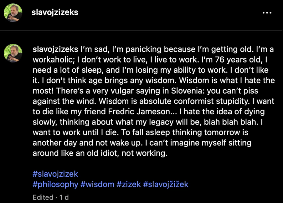 Filozof Slavoj Žižek na jedné ze sociálních sítí.