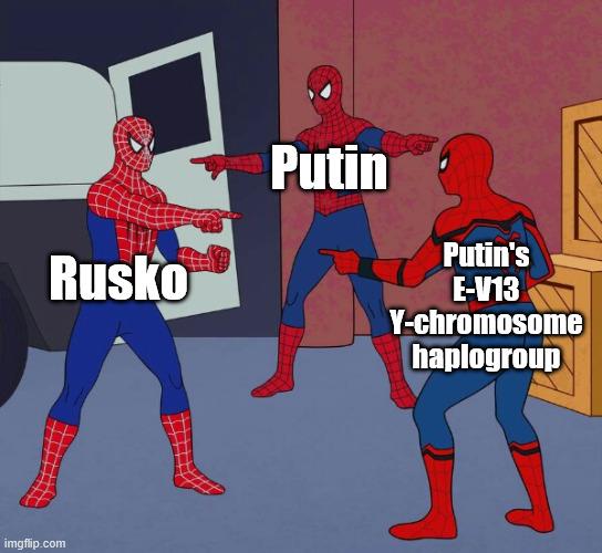 Multieval agency (meme Petra Turečka)